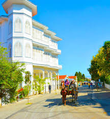 Princes' Island Tour